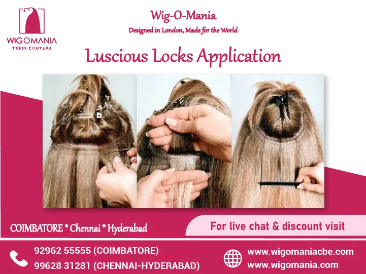 Natural Human Hair Clip & Go